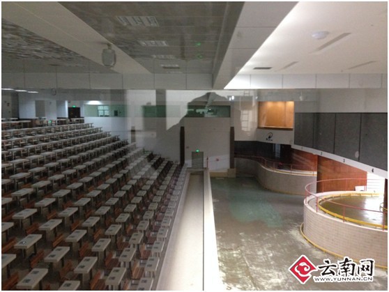 十年酿得云花香 BR 昆明国际花卉拍卖交易中心