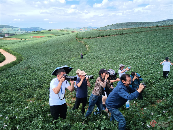 讲好"小城故事"!寻甸县推进文艺事业高质量发展